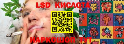 ПСИЛОЦИБИНОВЫЕ ГРИБЫ Ирбит