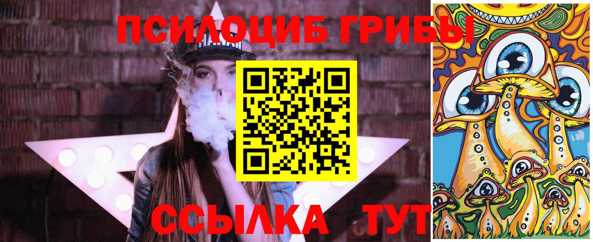 Псилоцибиновые грибы прущие грибы  как найти закладки  Лесосибирск  Вход с VPN 